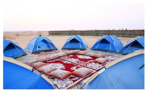 Stay at The Bedouin Oasis Camp